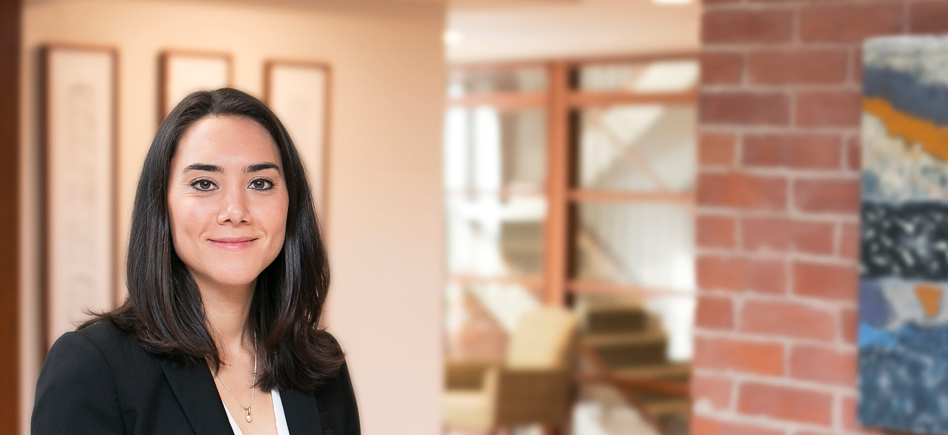 Sarah Huddleston, Attorney at Dinse Knapp & McAndrew, Burlington VT Law Firm